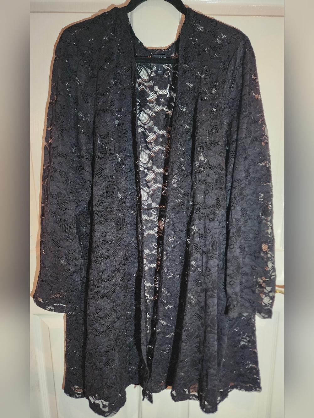 torrid Black Sheer Lace Dressy Cover